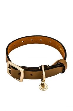 Rag & Bone Baby Boyfriend Dog Collar In Camel
